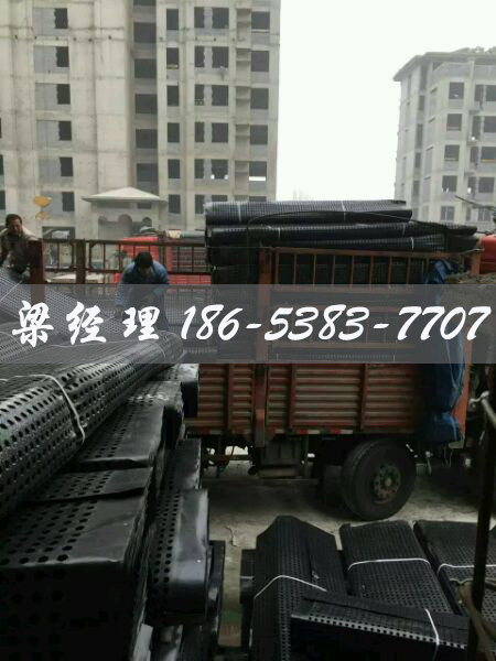 排水板廠家http://m.23037.cn/